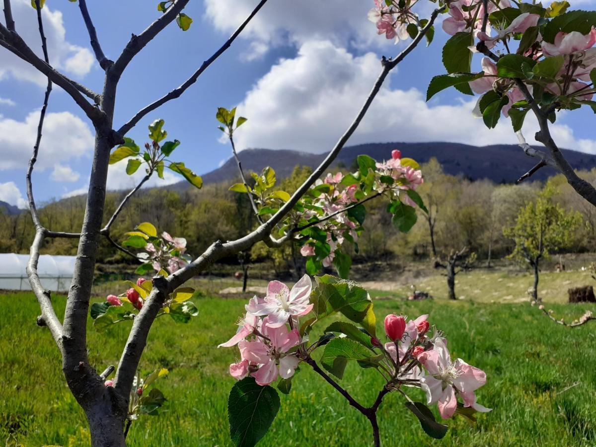 Ca Gennara Agri B&B Porretta Terme Exteriér fotografie