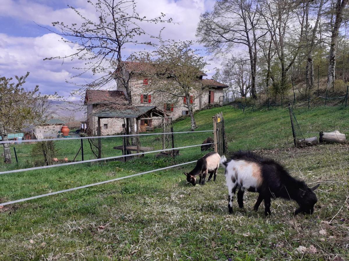 Ca Gennara Agri B&B Porretta Terme Exteriér fotografie