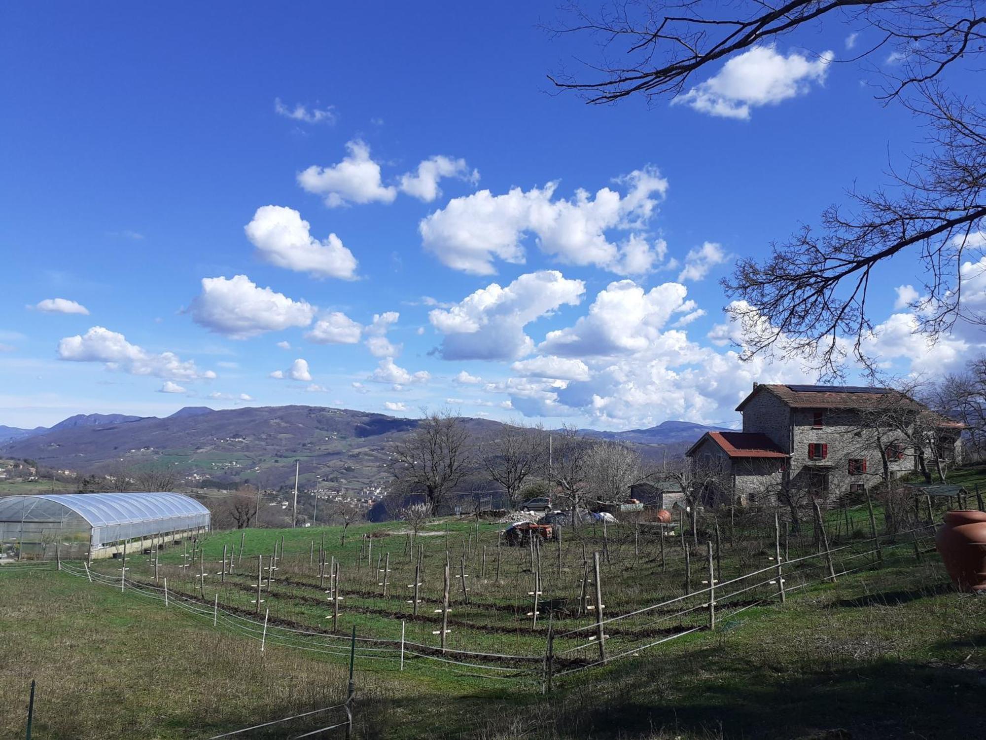 Ca Gennara Agri B&B Porretta Terme Exteriér fotografie