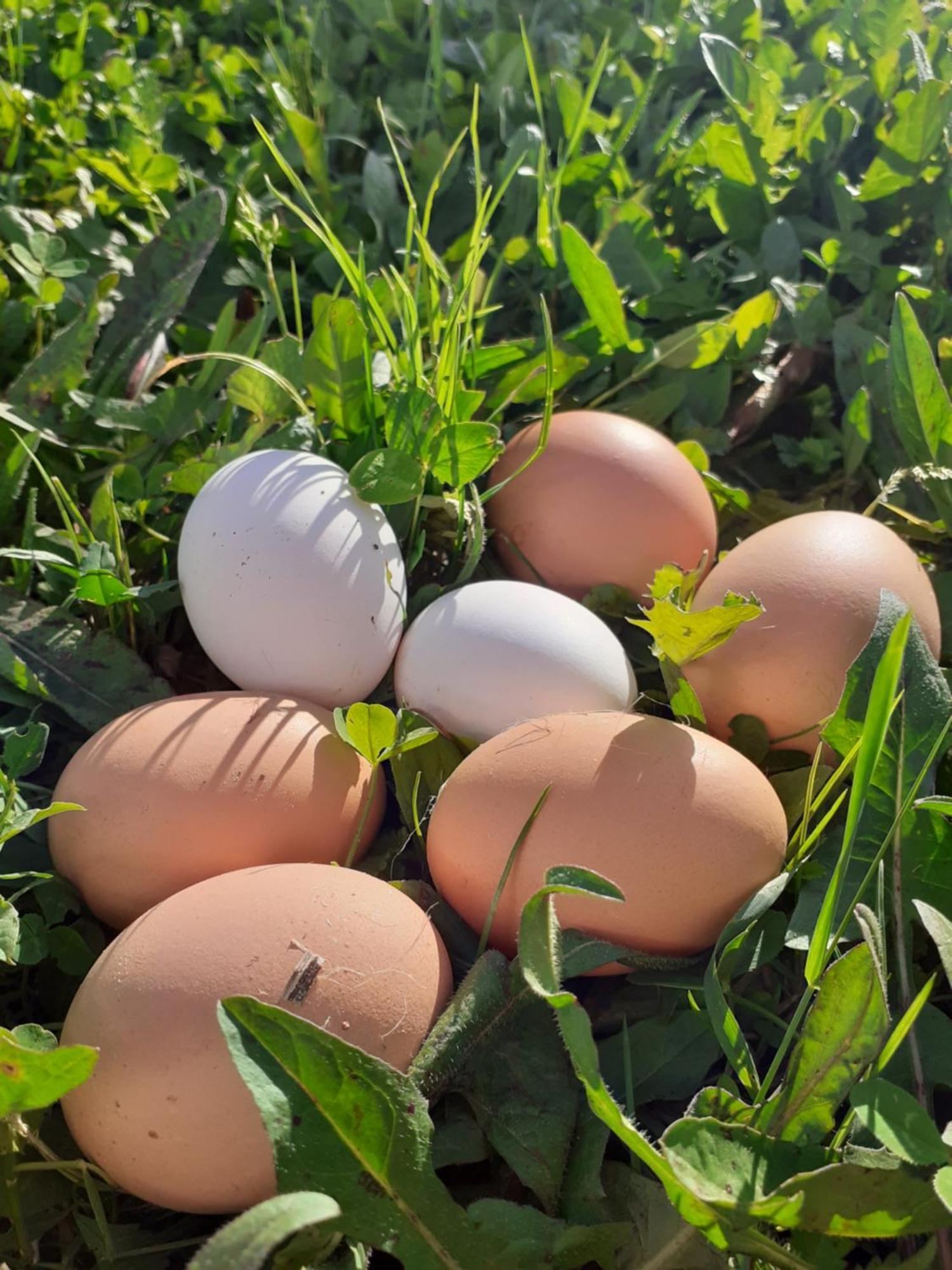 Ca Gennara Agri B&B Porretta Terme Exteriér fotografie